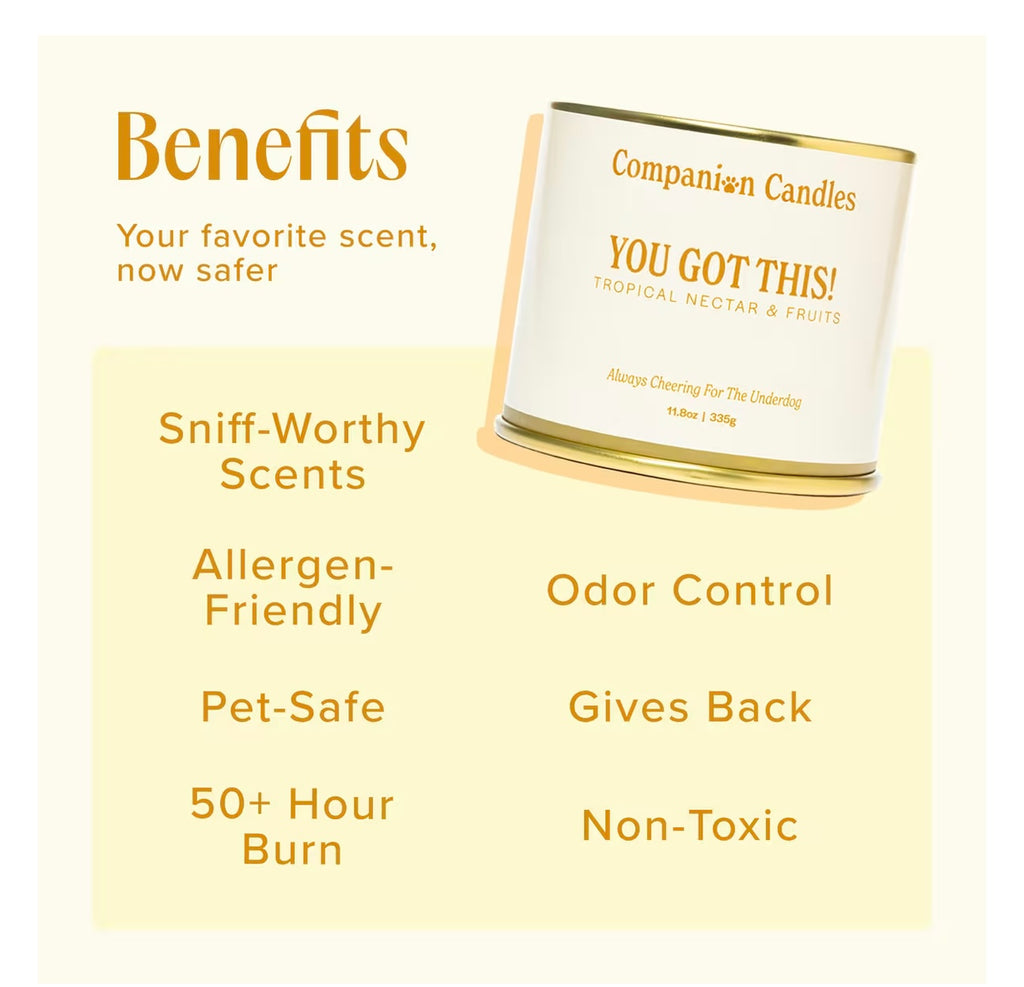 Companion Candles You Got This! Tropical Nectar & Florals Scented Pet-Friendly Candle, 11.8-oz jar
