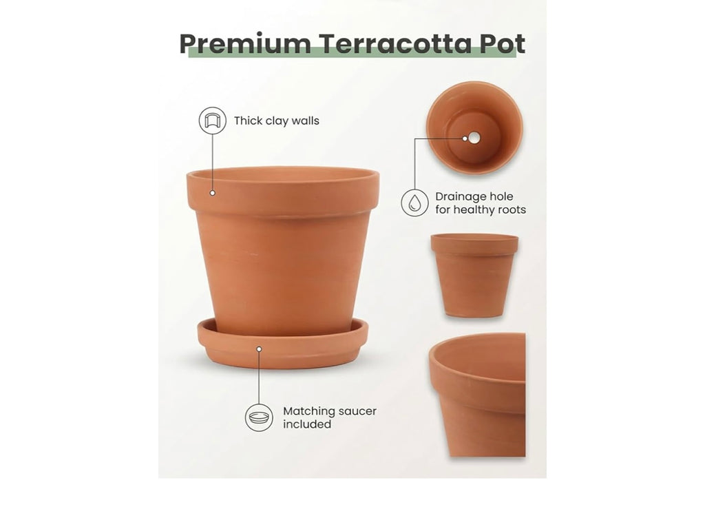 Terracotta Pots with saucers.