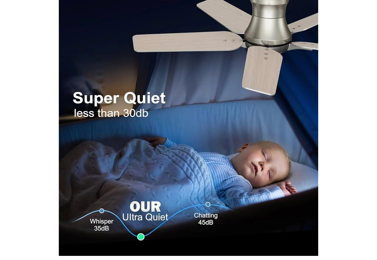 POCHFAN 42inch Ceiling Fan with Lights.