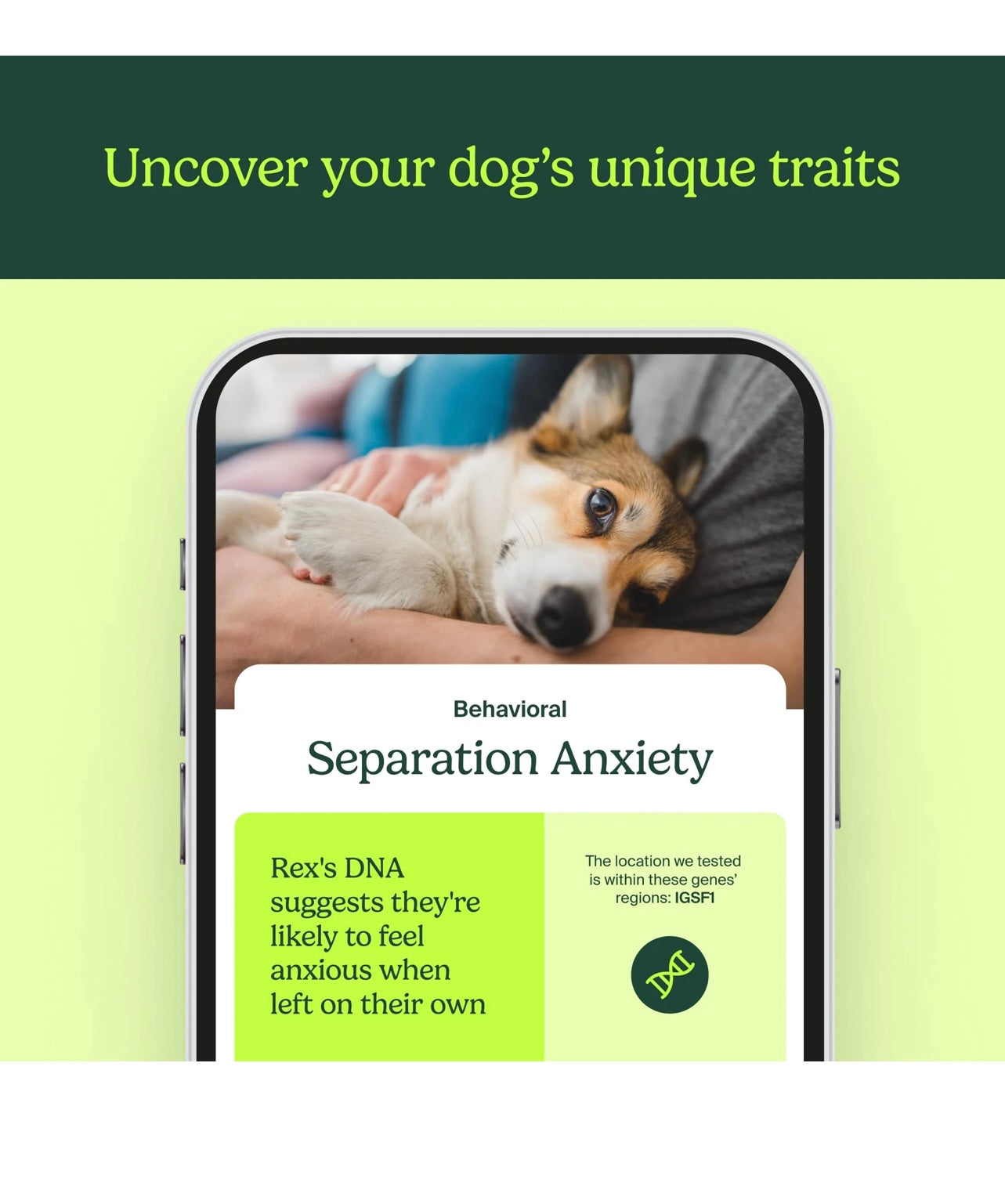 Know your Pet DNA By ancestry
