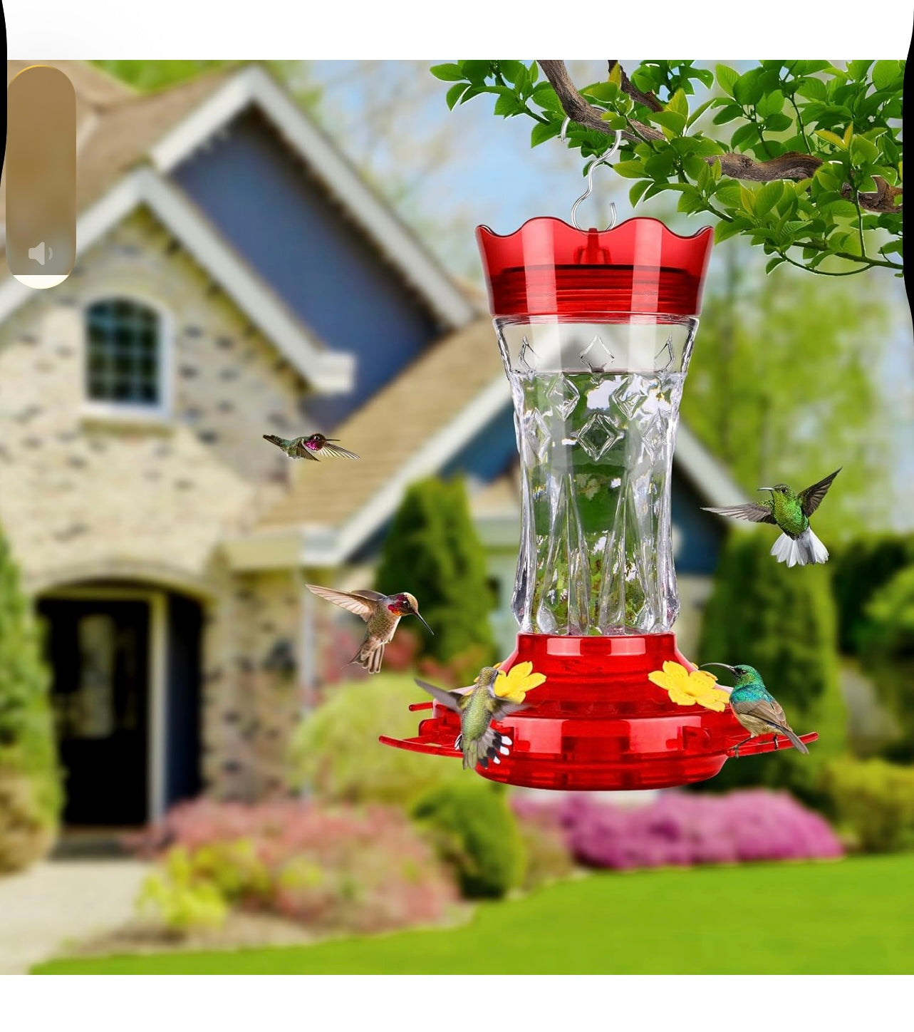 Bolite Glass Hummingbird Feeder.