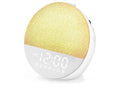 Geuuap White Noise Sound Machine sunrise Alarm Clock.