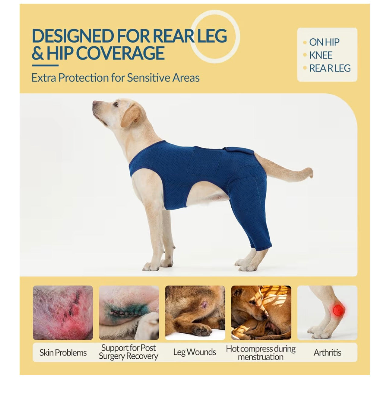 ROZKITCH Waterproof Dog Recovery Suit After Surgery, Perforated Neoprene Hind Leg Support Design, Blue LARGE
