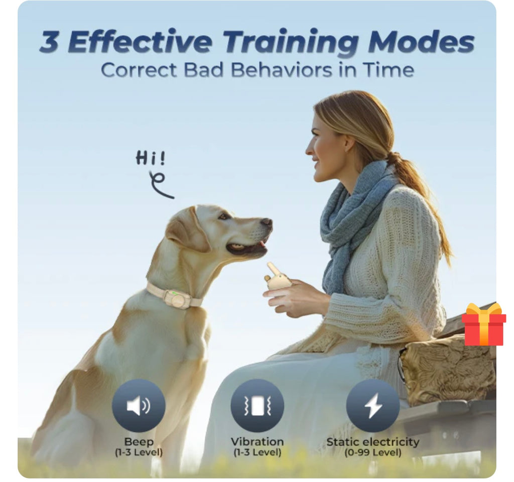 JUGBOW DT-56 Professional Remote Training Collar.