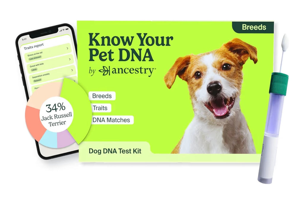 Know your Pet DNA By ancestry