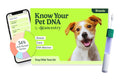 Know your Pet DNA By ancestry