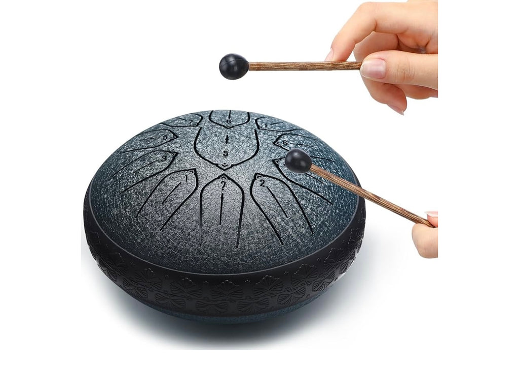 Steel Tounge Drum.