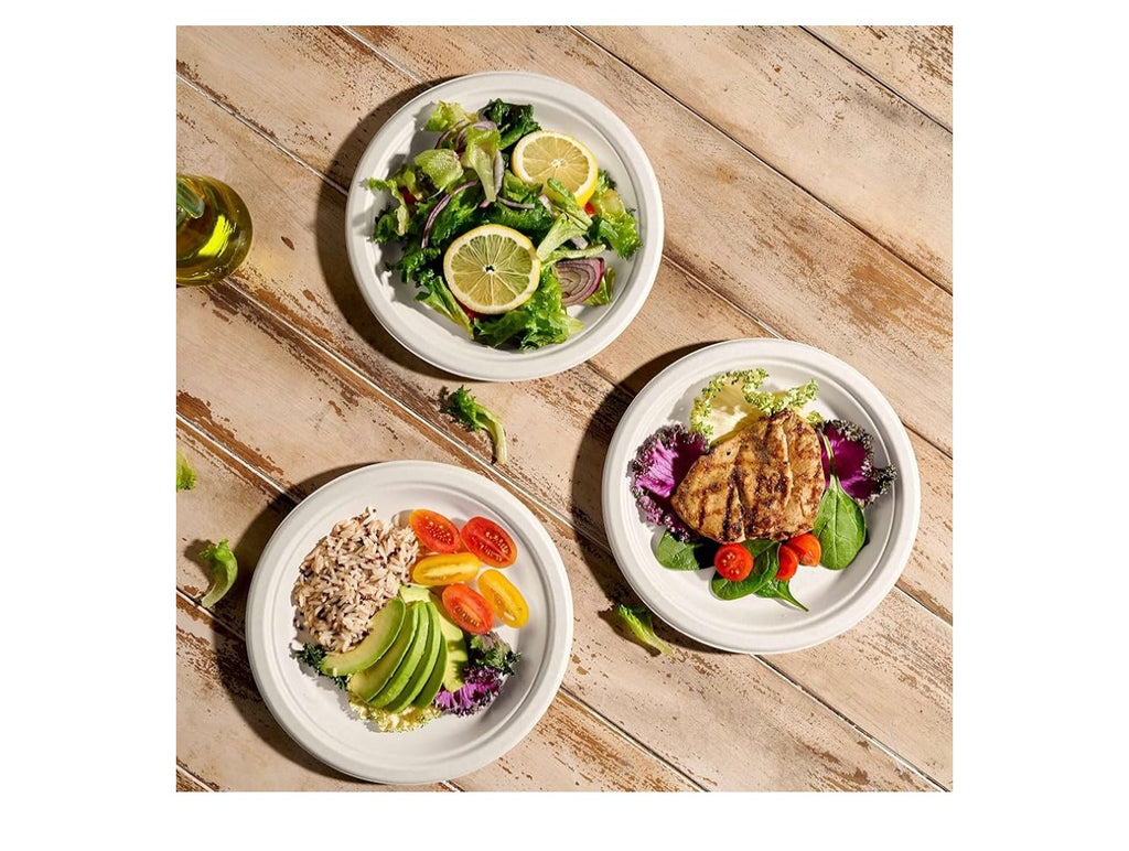 Munfix 150 Eco Friendly Compostable 9” plates.