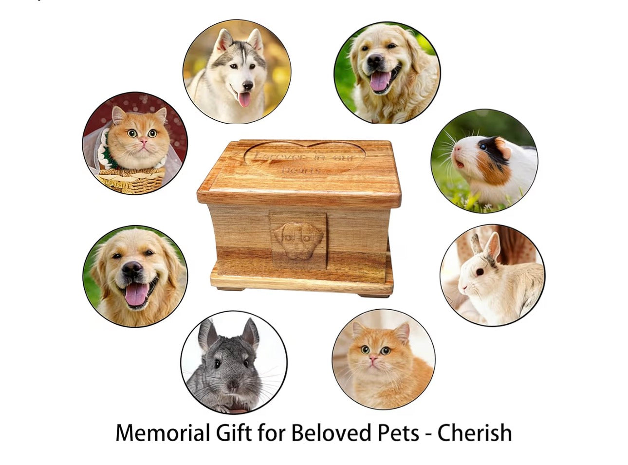 Pet Memorial Urn for Dogs or Cats Ashes, Solid Acacia Wooden Funeral Pets Memorial Urns, Cremation Urns Keepsake Memory Box for Loss Pets, Ashes Urn for Pets (Natural Color, M)