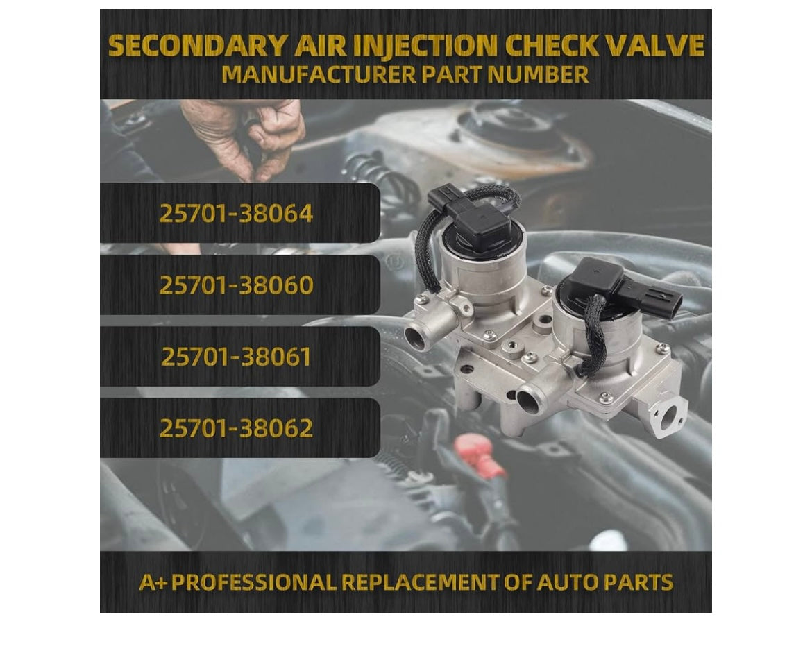 Dasbecan secondary air injection check valve