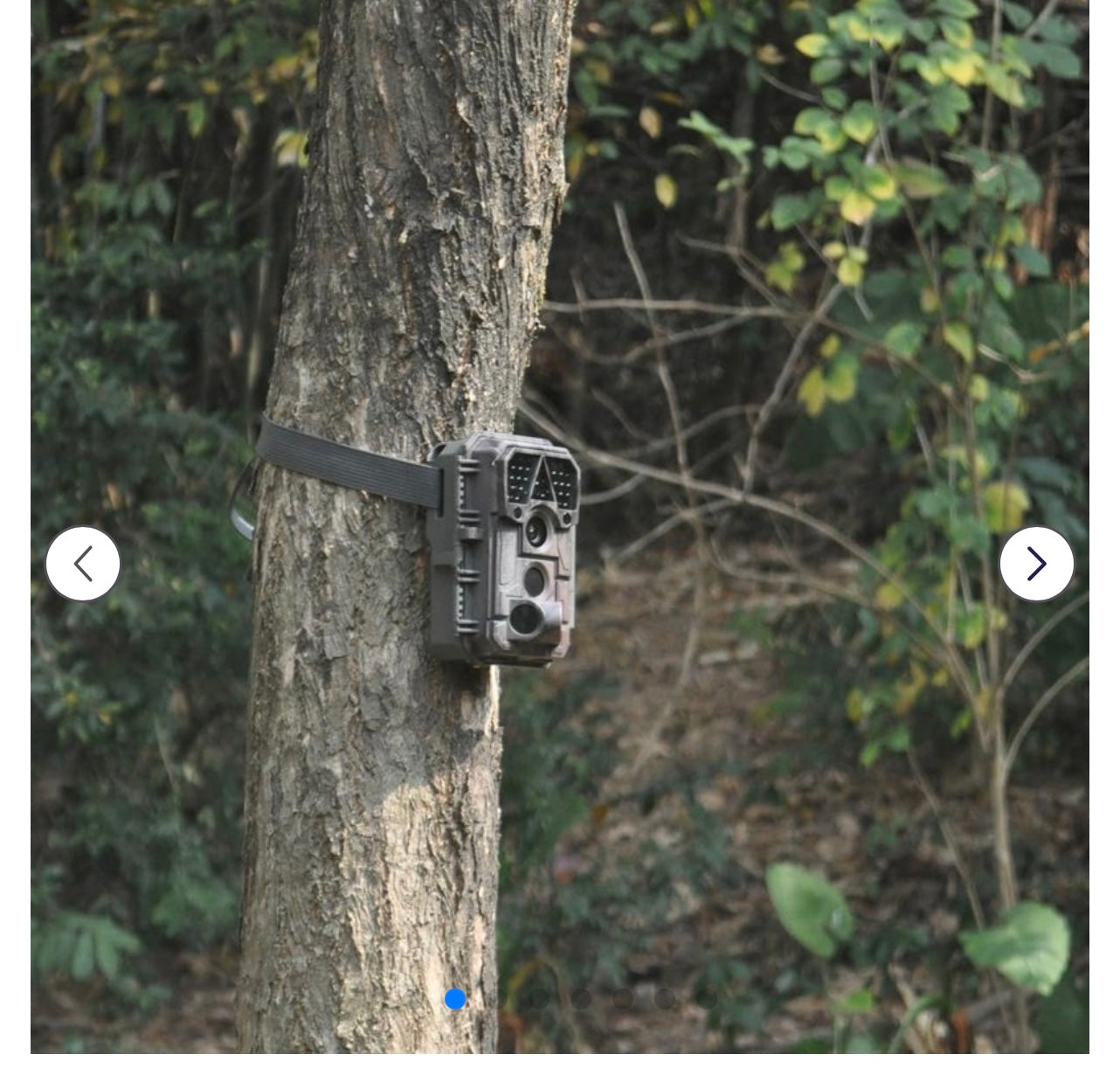 Meidase P70 Trail Camera.