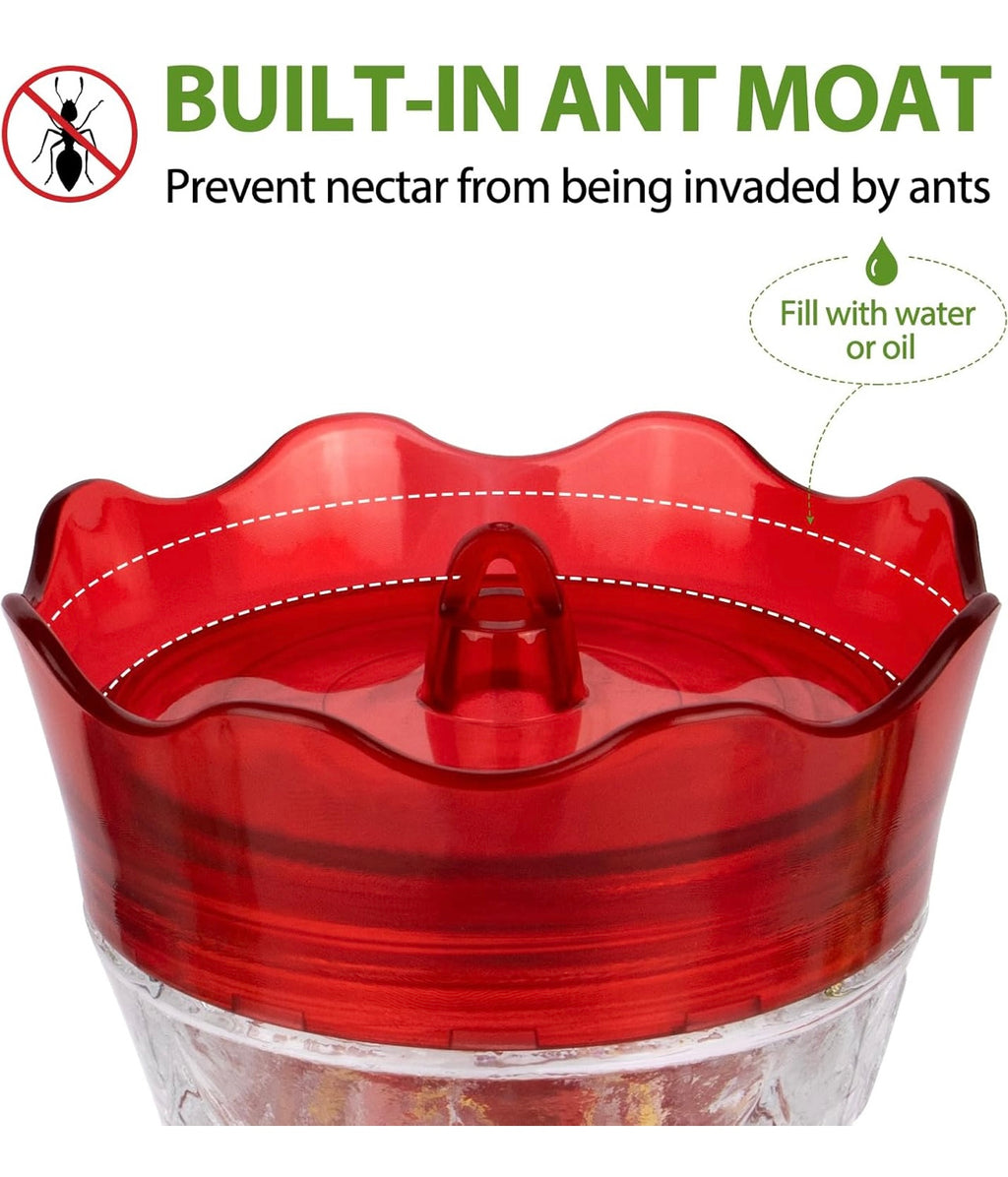 Bolite Glass Hummingbird Feeder.
