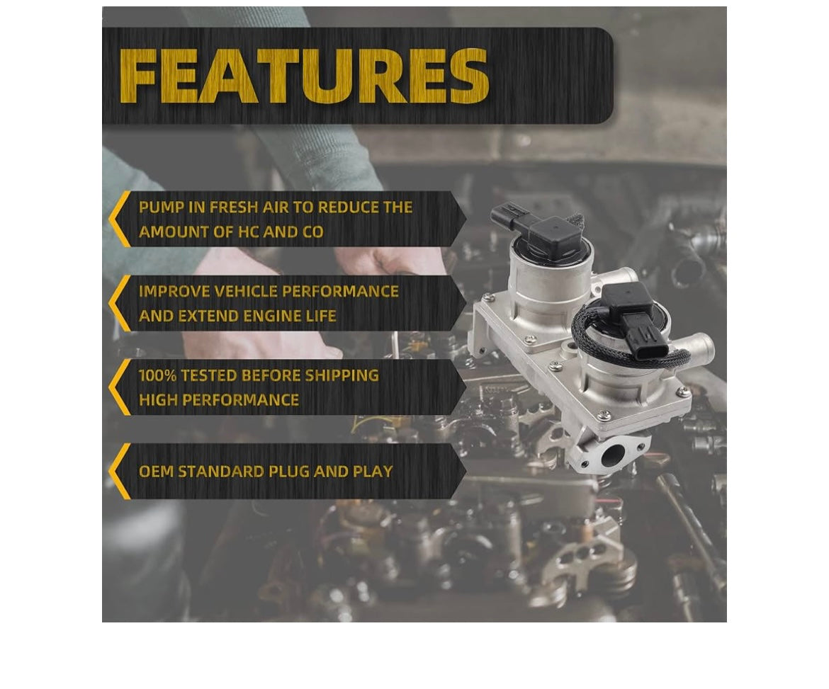 Dasbecan secondary air injection check valve