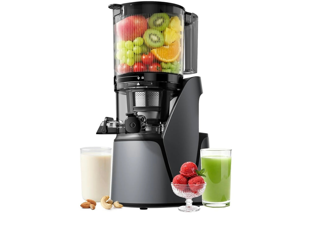 Ecoself j6 Slow Juicer.