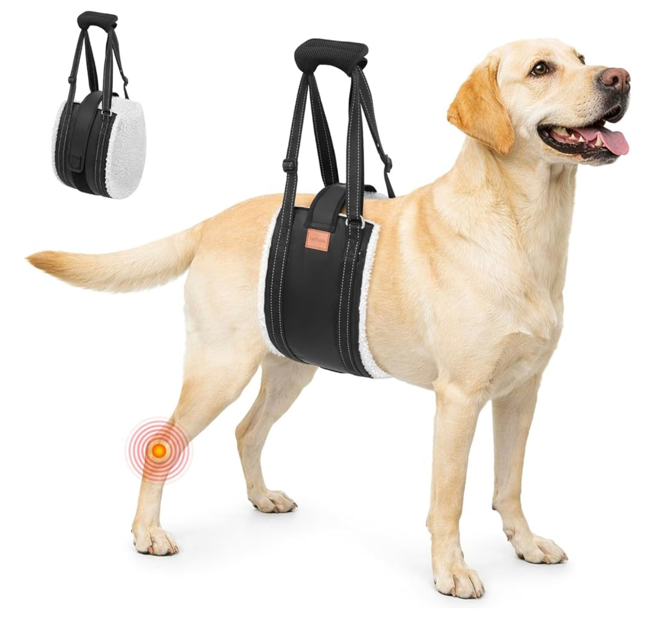 Loobani Dog Lift Harness For Back Legs.
