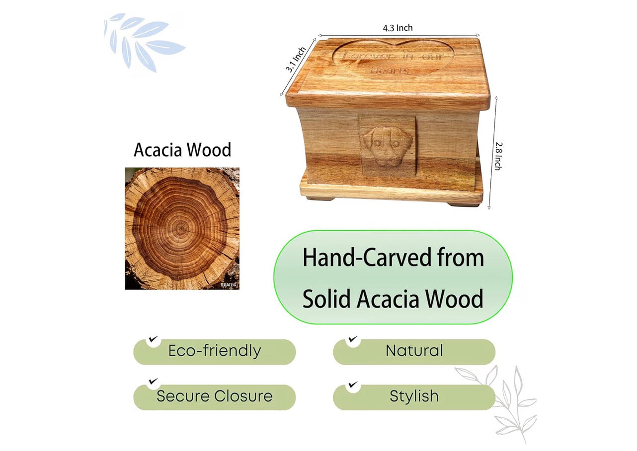 Pet Memorial Urn for Dogs or Cats Ashes, Solid Acacia Wooden Funeral Pets Memorial Urns, Cremation Urns Keepsake Memory Box for Loss Pets, Ashes Urn for Pets (Natural Color, M)
