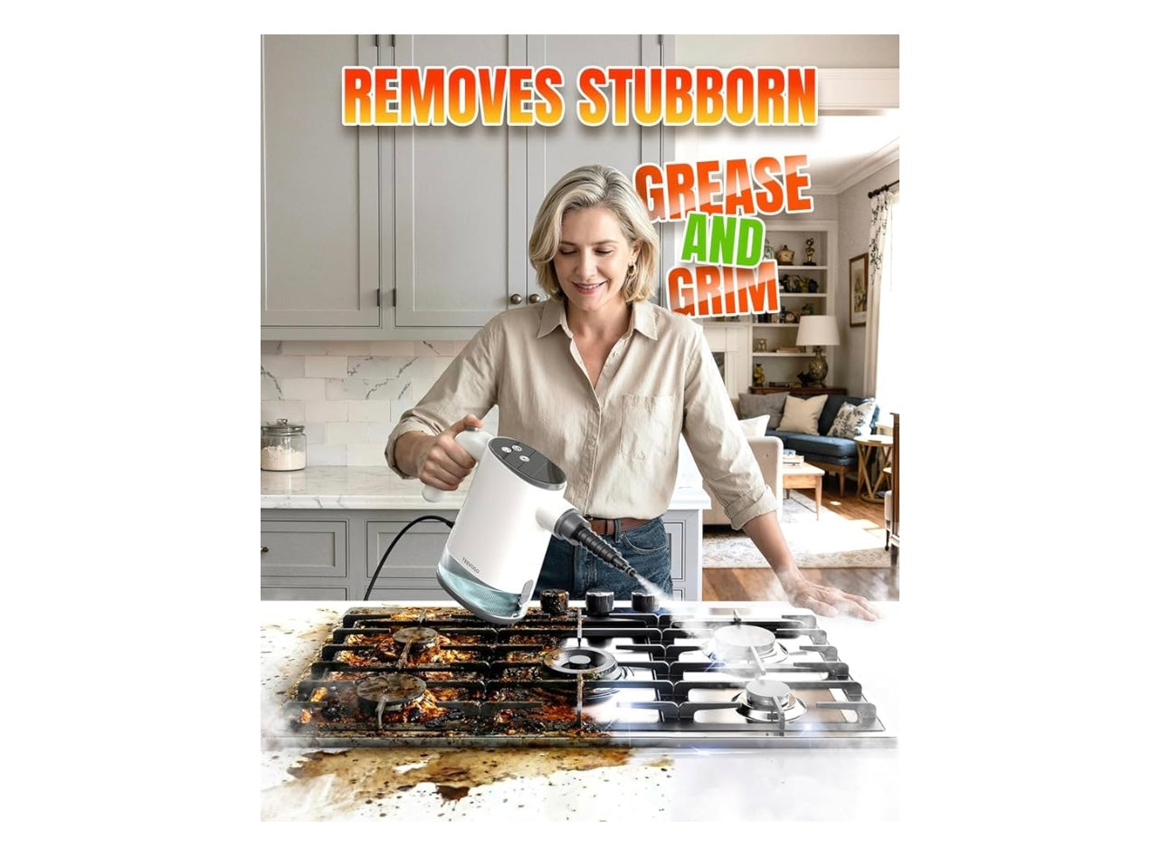 Teevogo Steam cleaner.