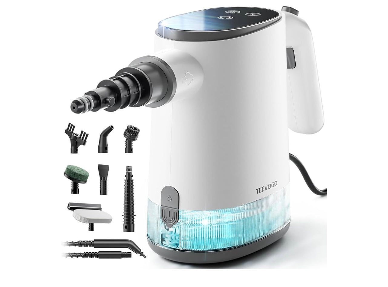 Teevogo Steam cleaner.