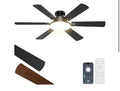 52inch Ceiling Fan with lights.