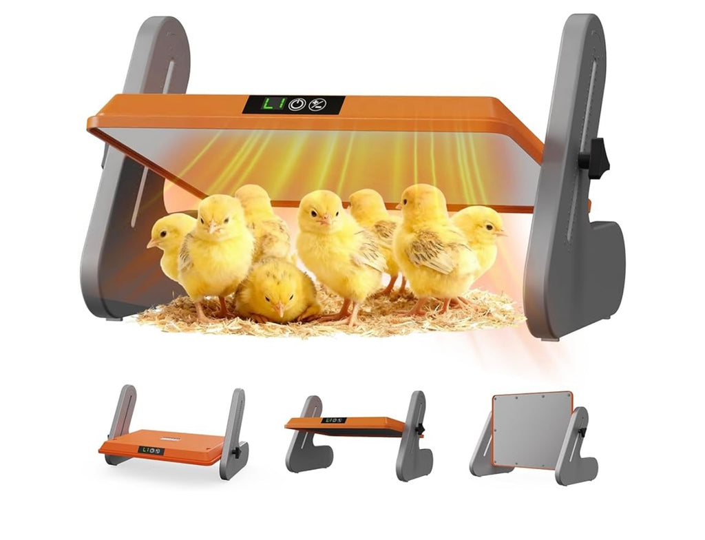 Coop Heater and Chicken Brooder.