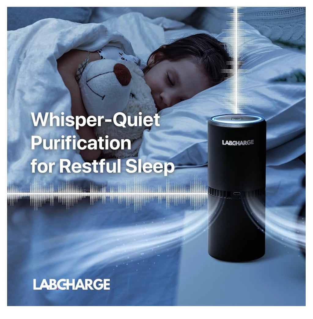 Lab Charge Small Ionic Air Purifer.