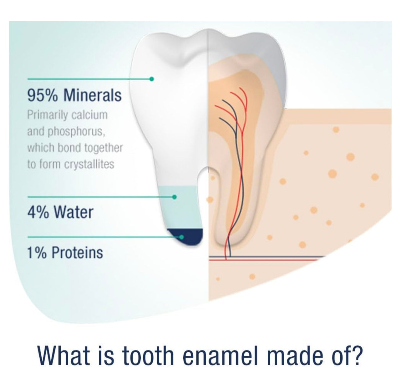 Sensodyne Pronamel Daily Protection Toothpaste.