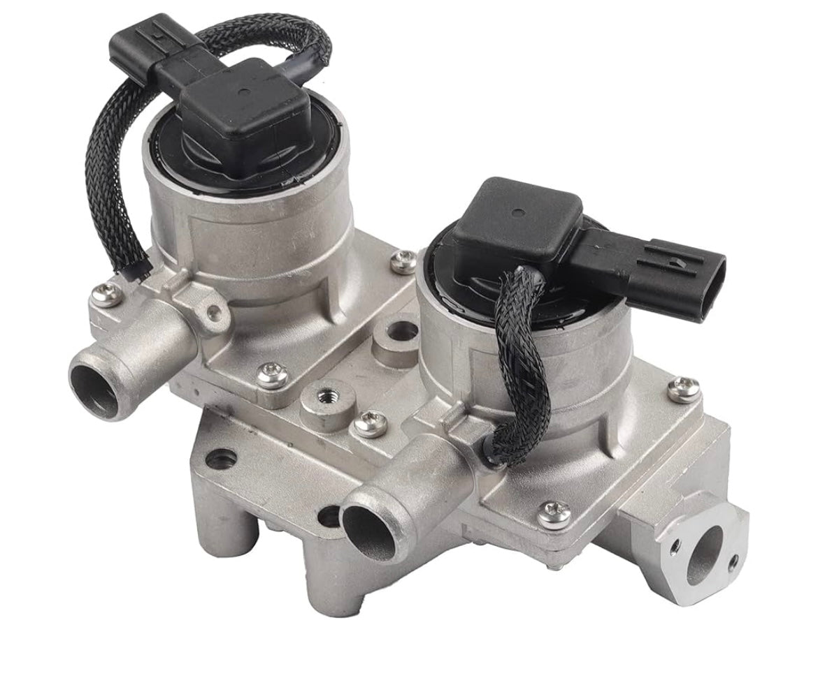 Dasbecan secondary air injection check valve