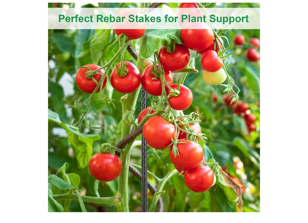 Starvast 20pcs 16inch Rebar Ground Stakes.