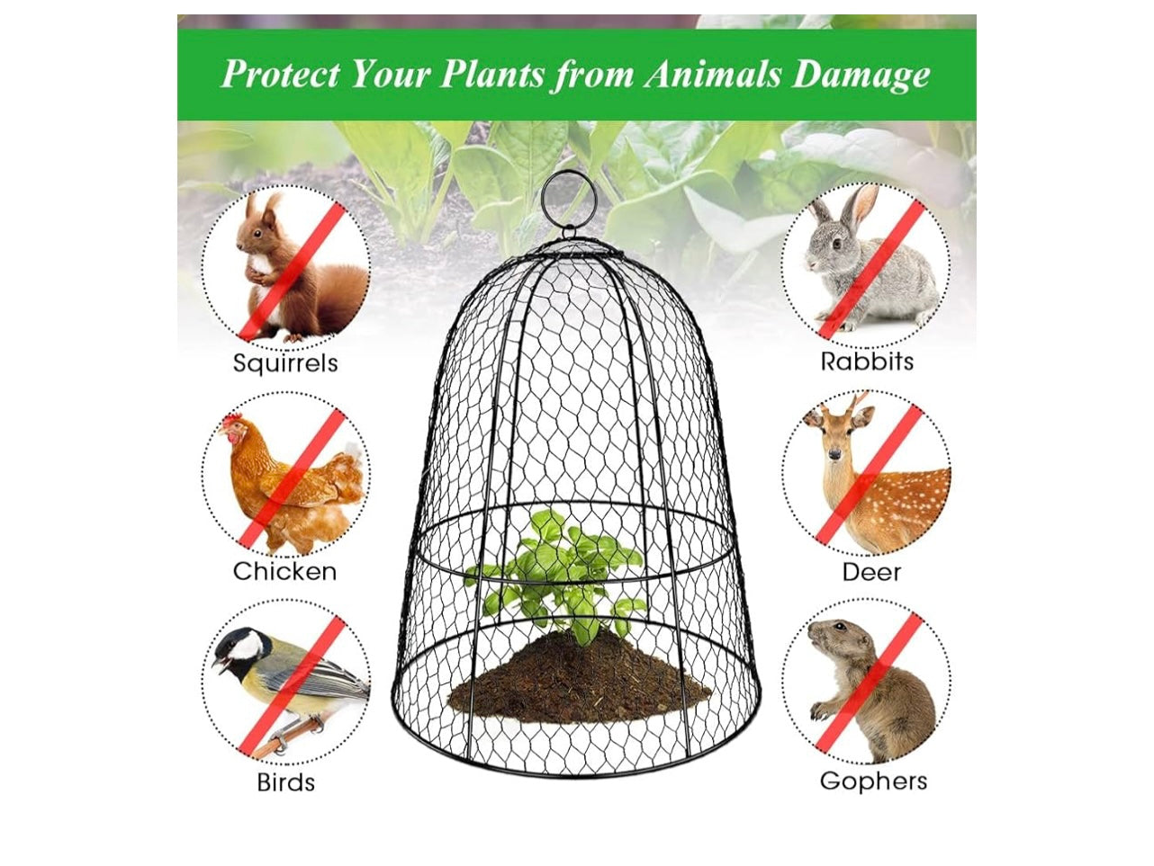 6-pack Large Plant Protector Cover.
