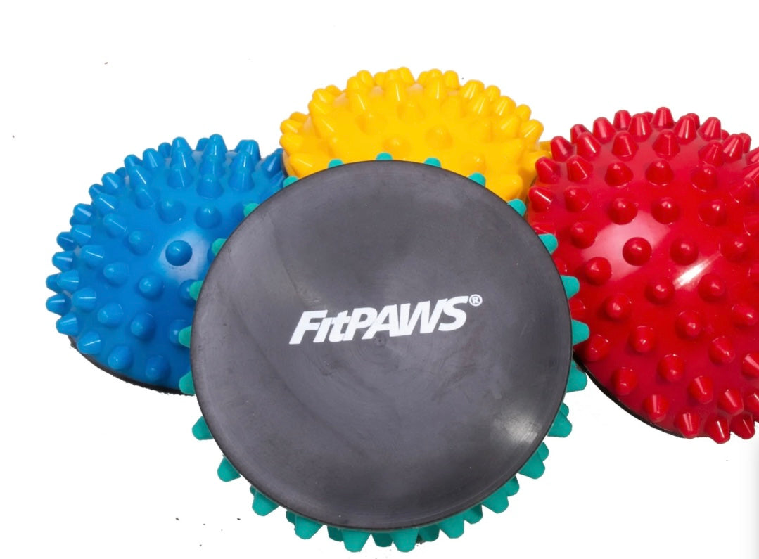 Fit paws Paw Pods With Anti Slip Bottoms.