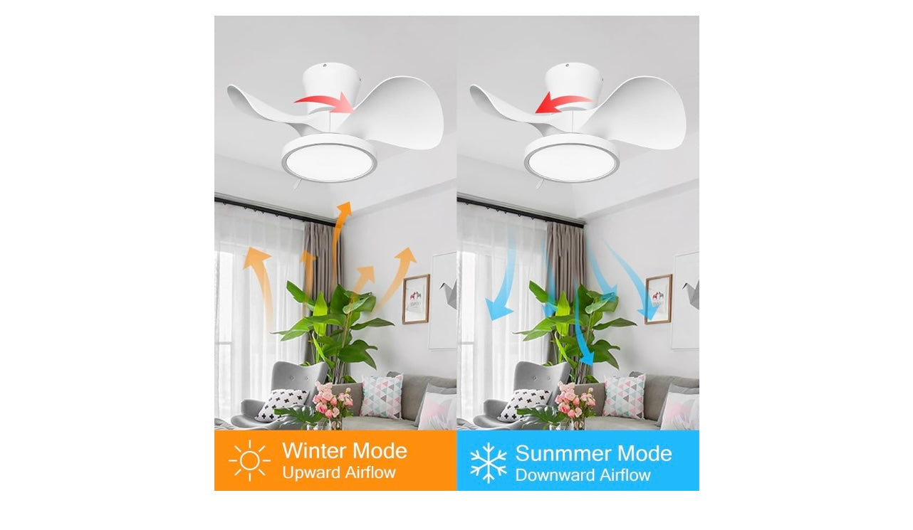 Ocioc Quiet Ceiling Fan With LED Lights.