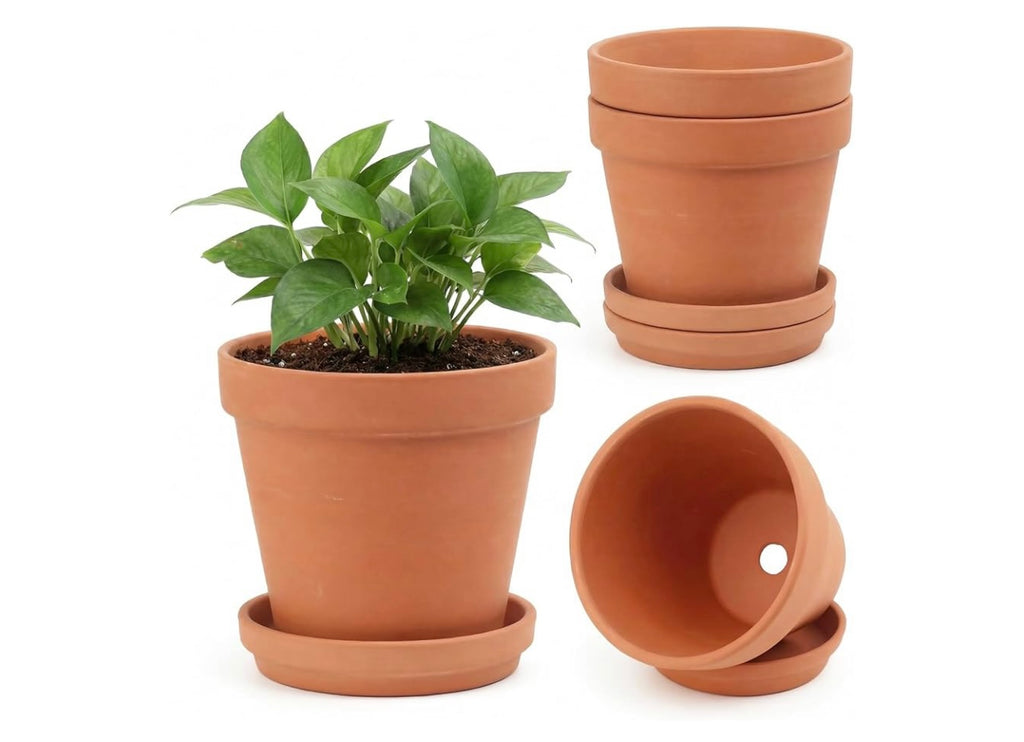 Terracotta Pots with saucers.