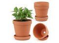 Terracotta Pots with saucers.