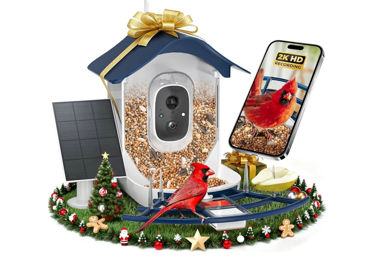 Smart Bird Feeder.