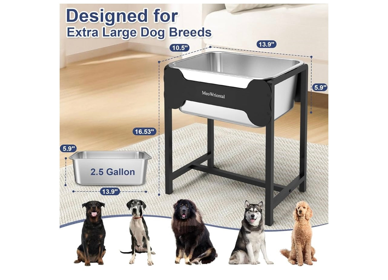 MeoWriental Elevated Stainless Steel Dog Water Bowl.