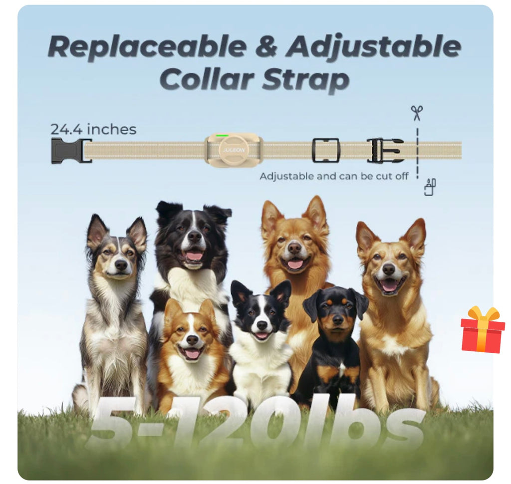 JUGBOW DT-56 Professional Remote Training Collar.