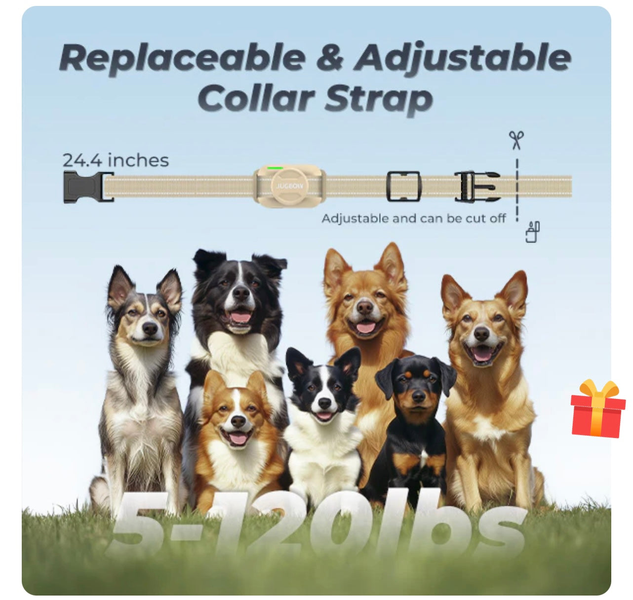 JUGBOW DT-56 Professional Remote Training Collar.