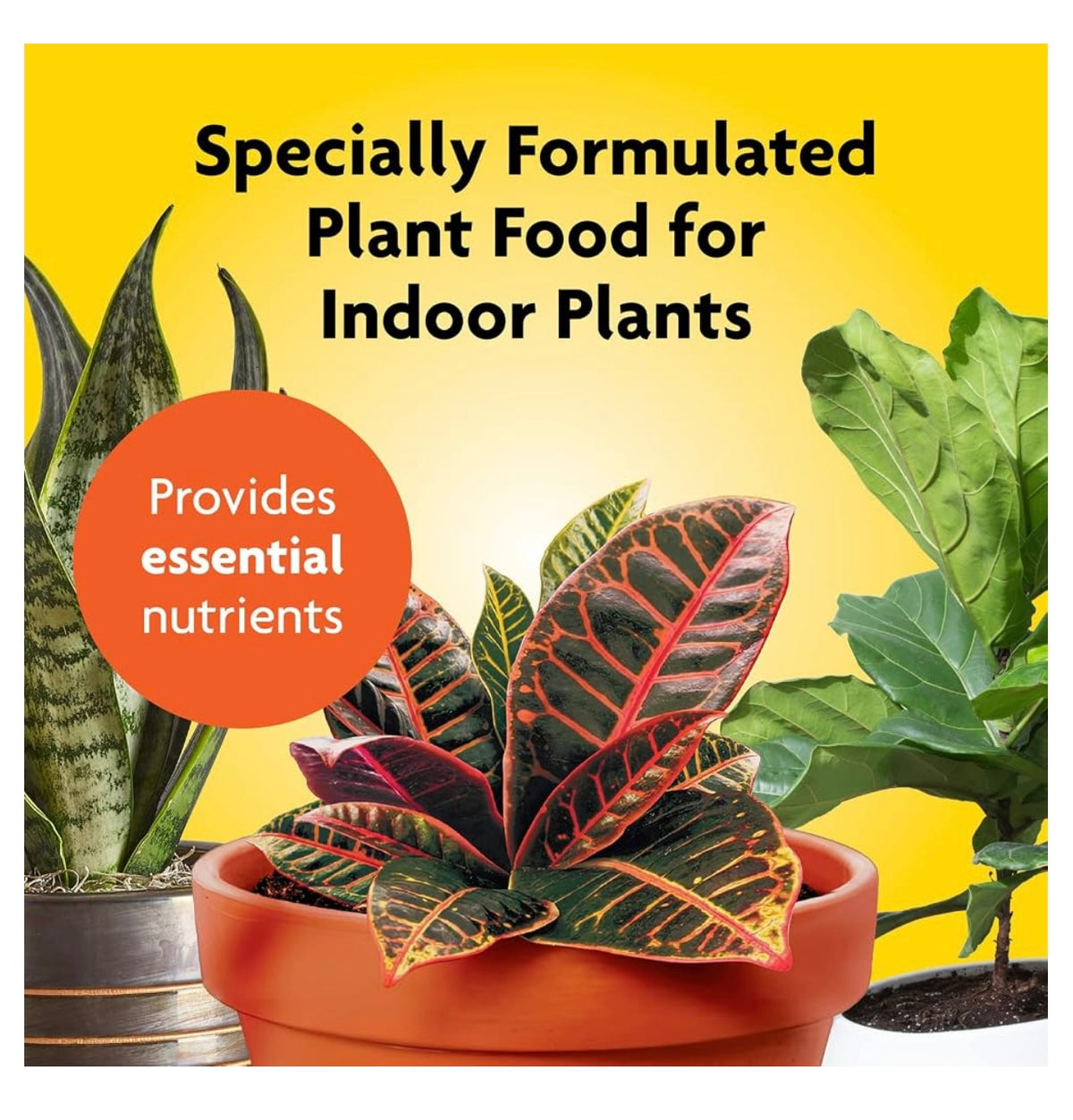 Miracle-Gro Indoor Plant Food, Liquid Plant Food for Houseplants, Snake Plants, Peace Lilies, Flowers, Vegetables, Herbs and More, 8 oz.