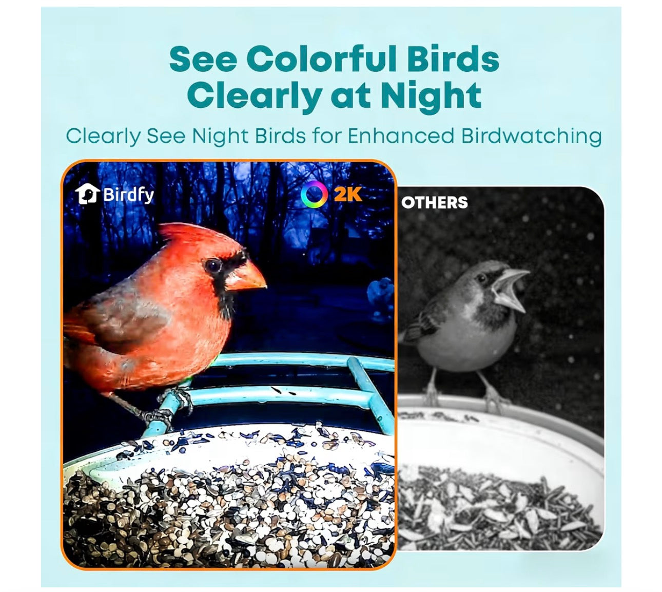 Birdfy Smart Bird Feeder with AI Camera