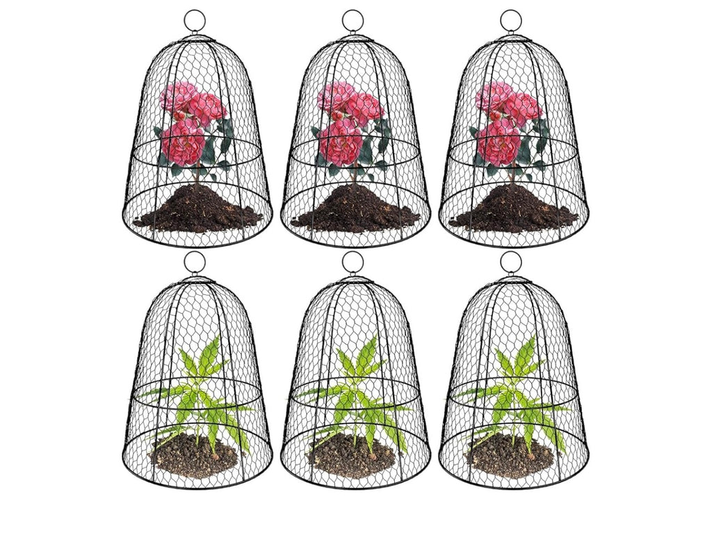 6-pack Large Plant Protector Cover.