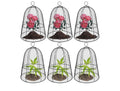 6-pack Large Plant Protector Cover.
