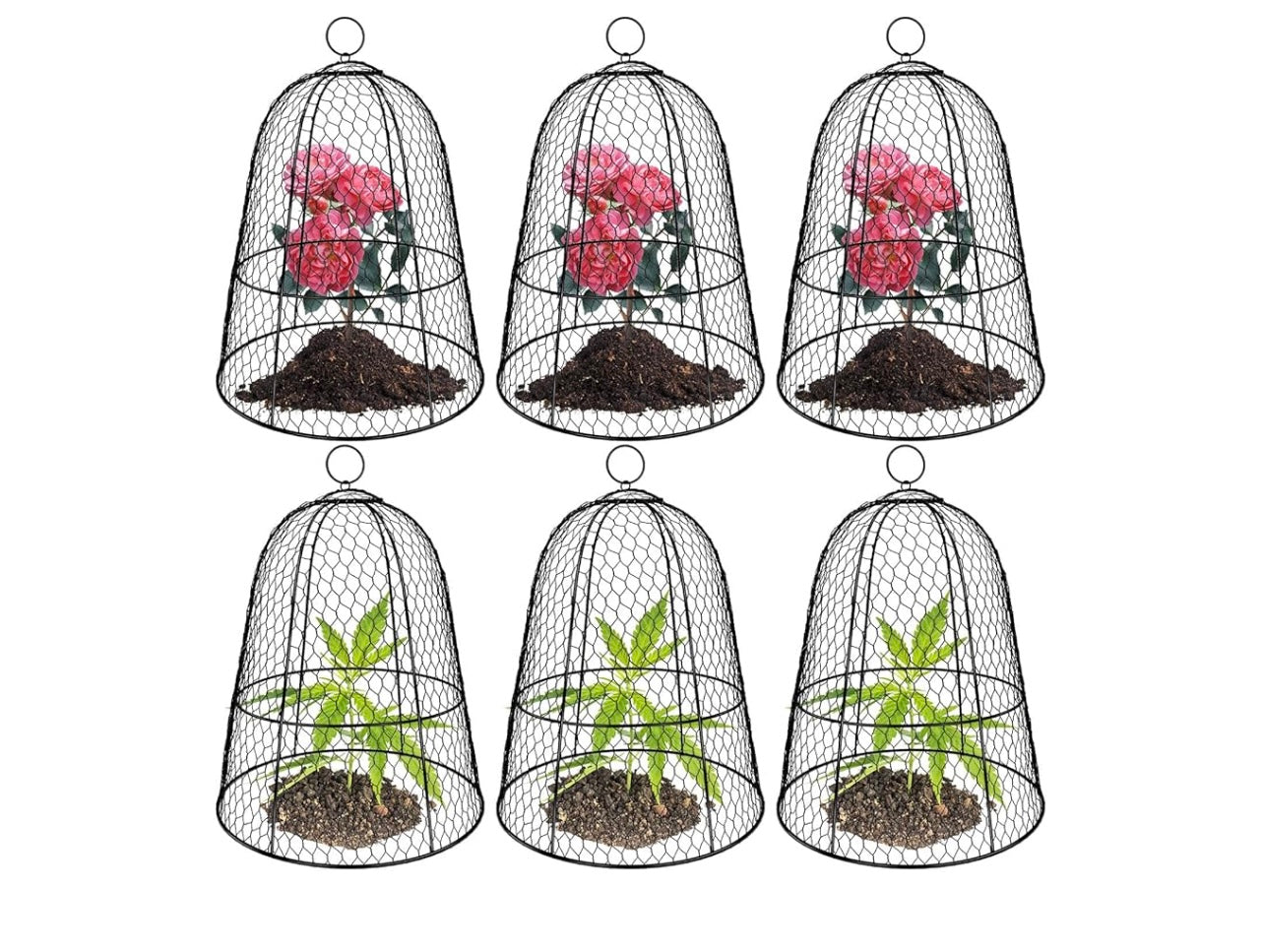 6-pack Large Plant Protector Cover.