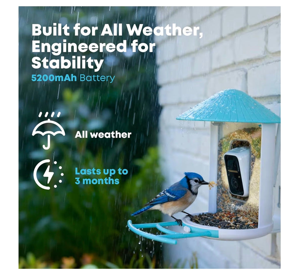 Birdfy Smart Bird Feeder with AI Camera