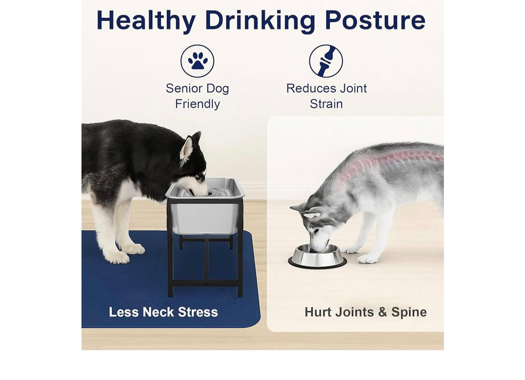 MeoWriental Elevated Stainless Steel Dog Water Bowl.