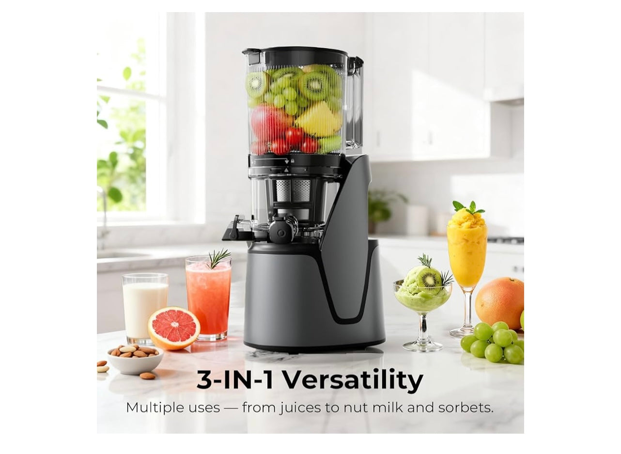 Ecoself j6 Slow Juicer.