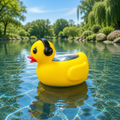 Ducky Floating Water Thermometer