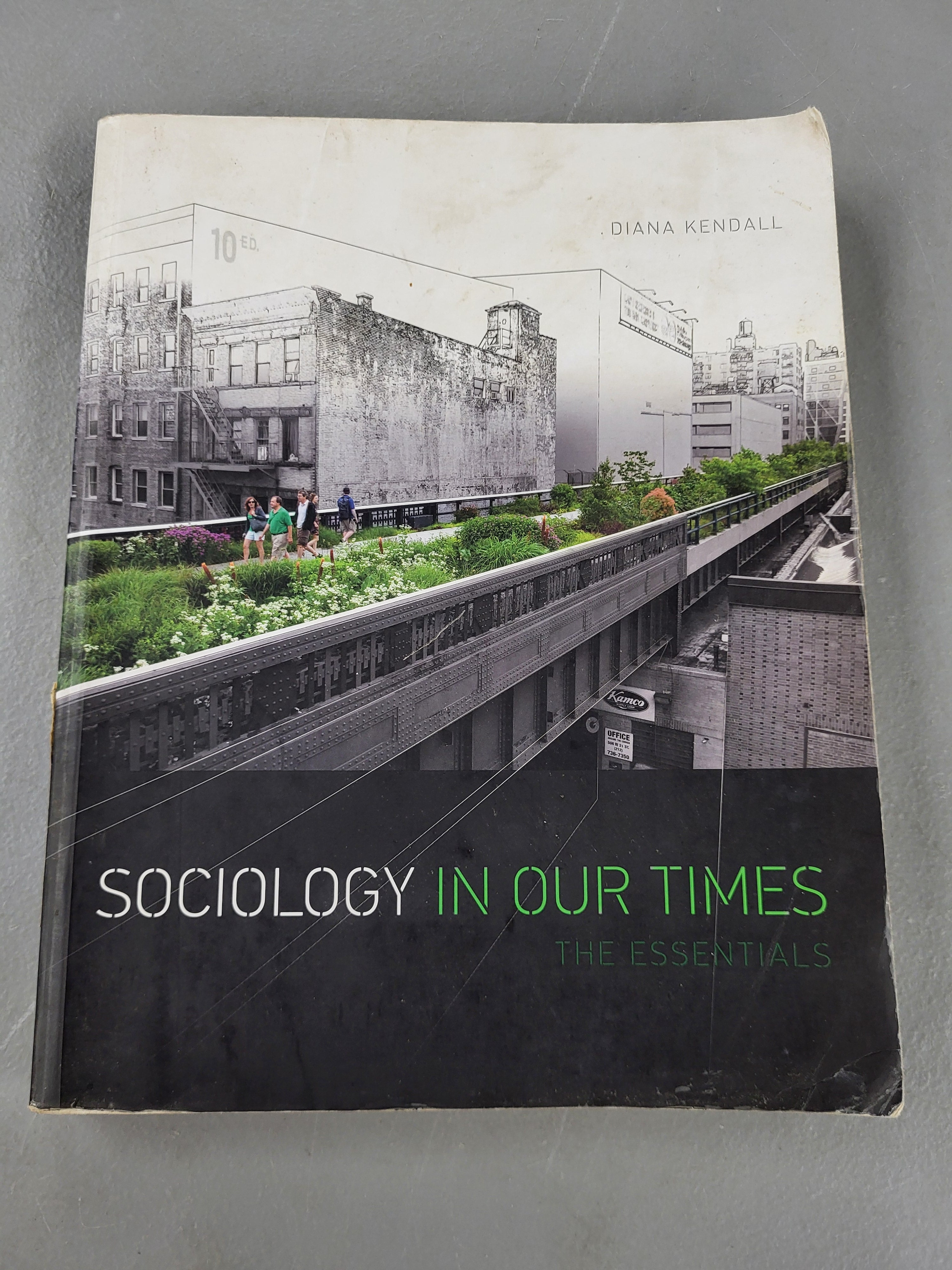 Sociology In Our Times the Essentials