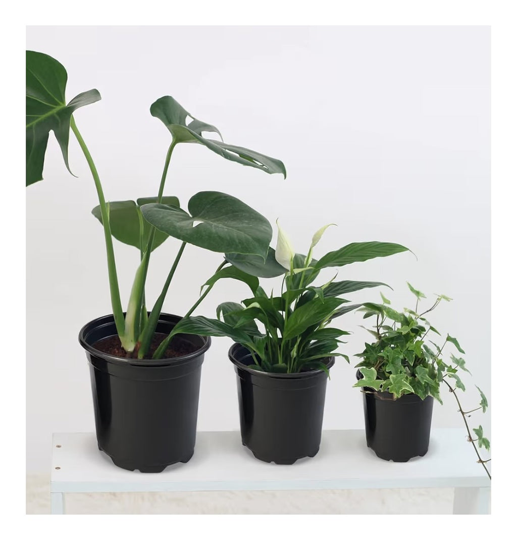 5in Nursery Pots 100 pack