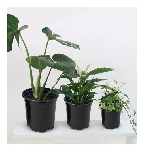 5in Nursery Pots 100 pack