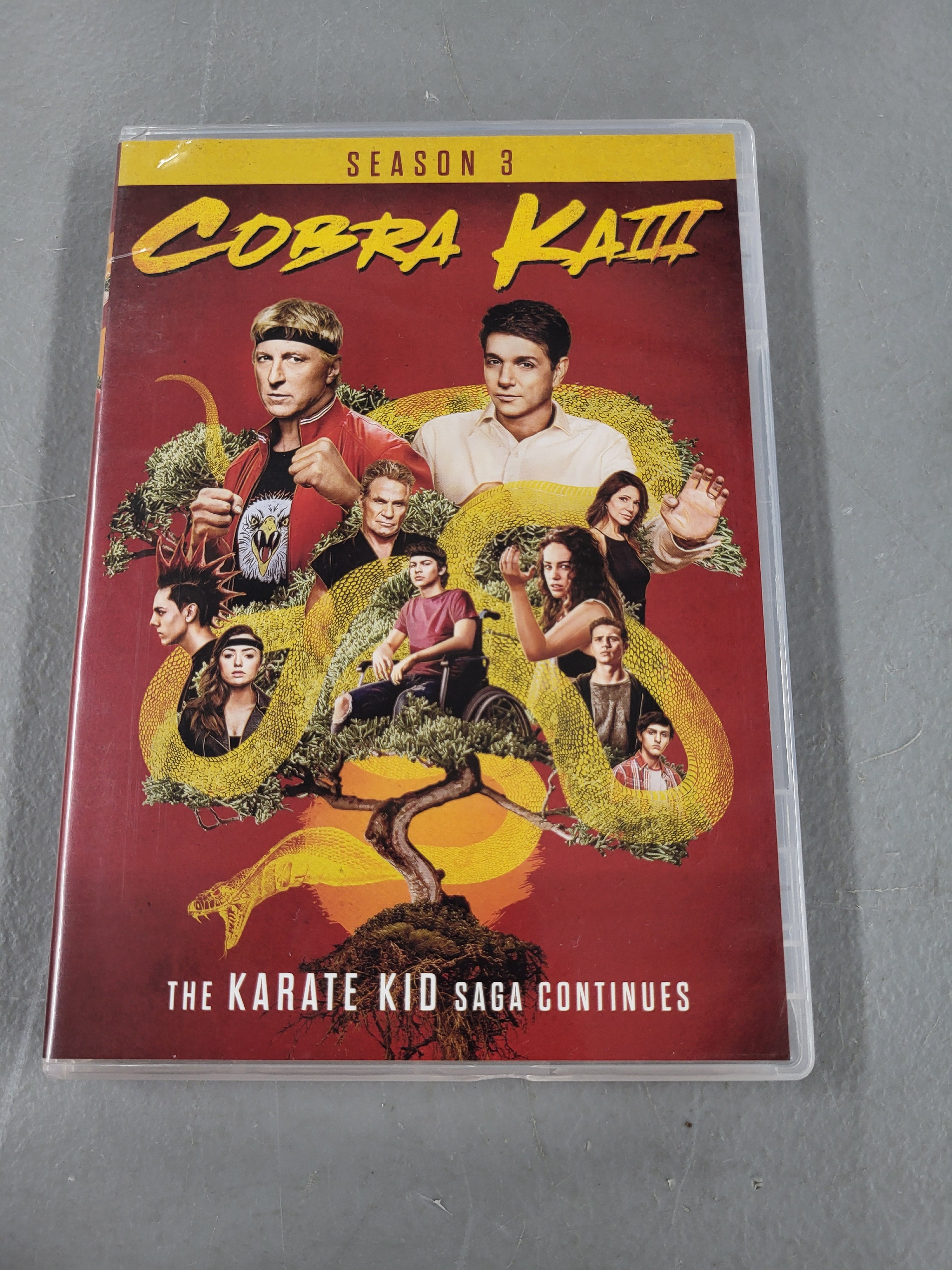 Cobra Kai Season 3